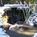 winter pond preparation