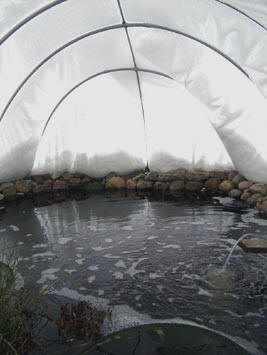 inside a winter pond cover