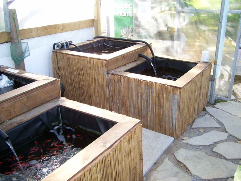 Fish Greenhouse Hydrosphere The Koi Pond Experts