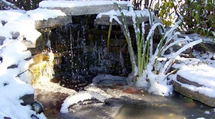 how to winterize your pond