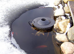How To Winterize Your Pond - Hydrosphere Water Gardens