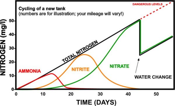 The Nitrogen Cycle - Ammonia in Ponds and Aquariums