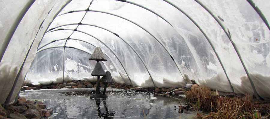 Inside Our Winter Pond Cover
