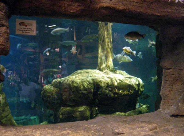 Bass Pro Shops Aquarium