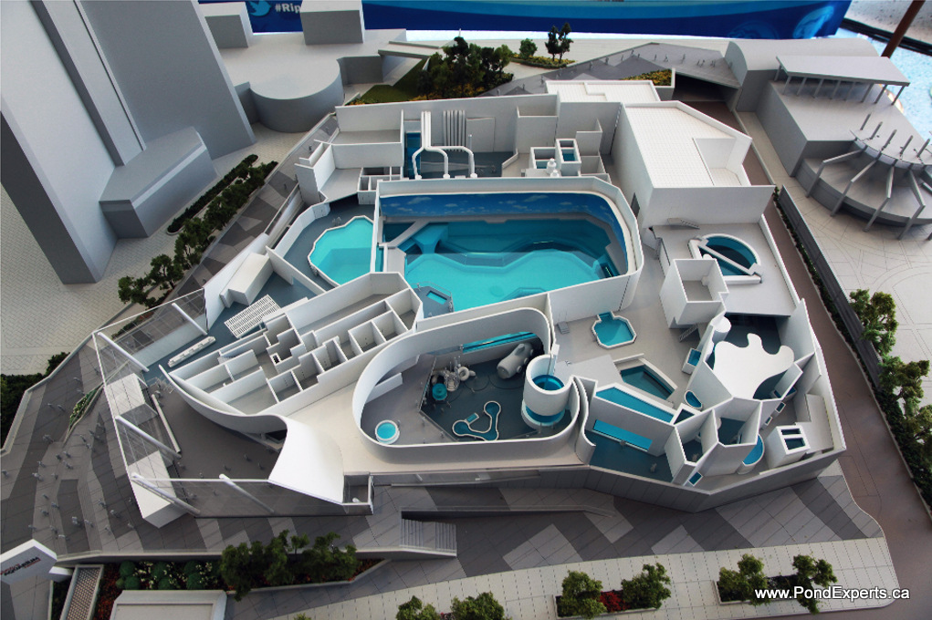 Ripley's aquarium construction model