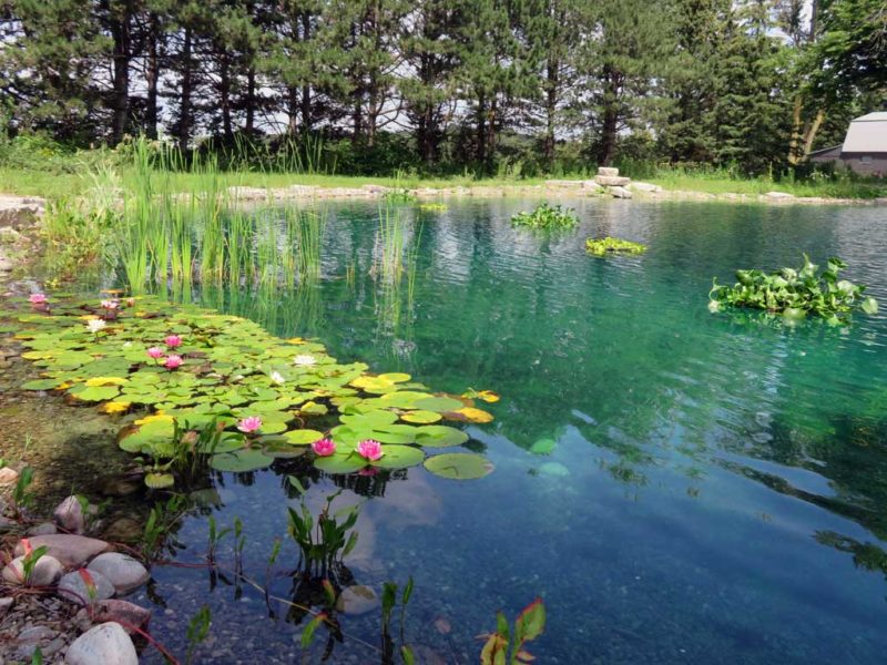 Large Pond Maintenance, Assessments and Installations