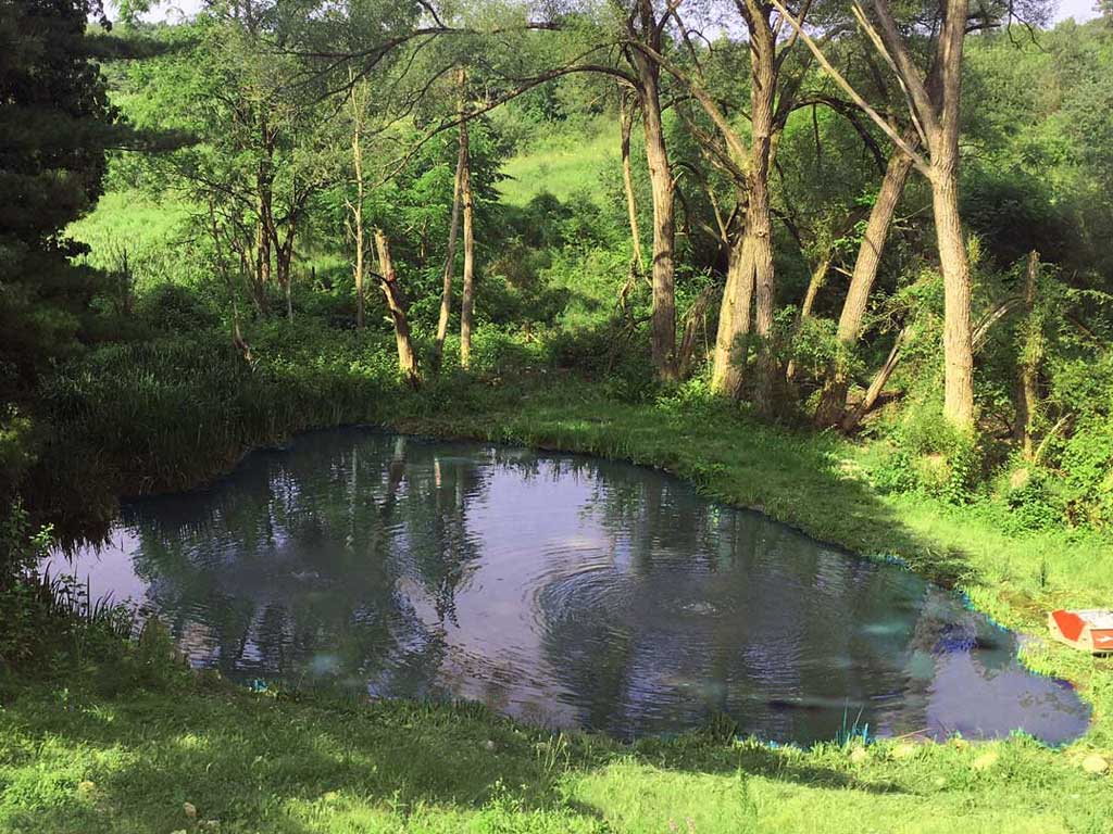 emergent pond weeds cleaned