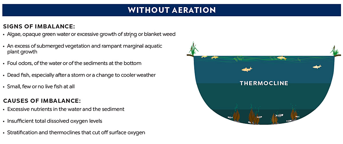 pond without aeration thermocline