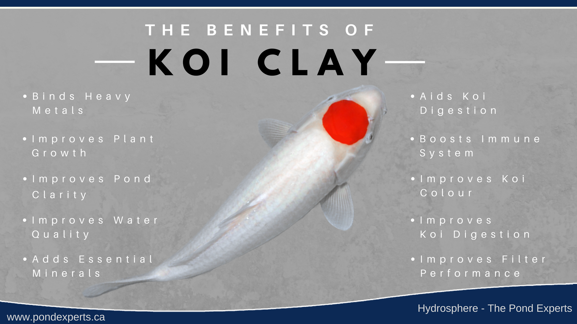 The Many Benefits of Koi Clay