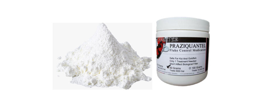 how to dissolve praziquantel