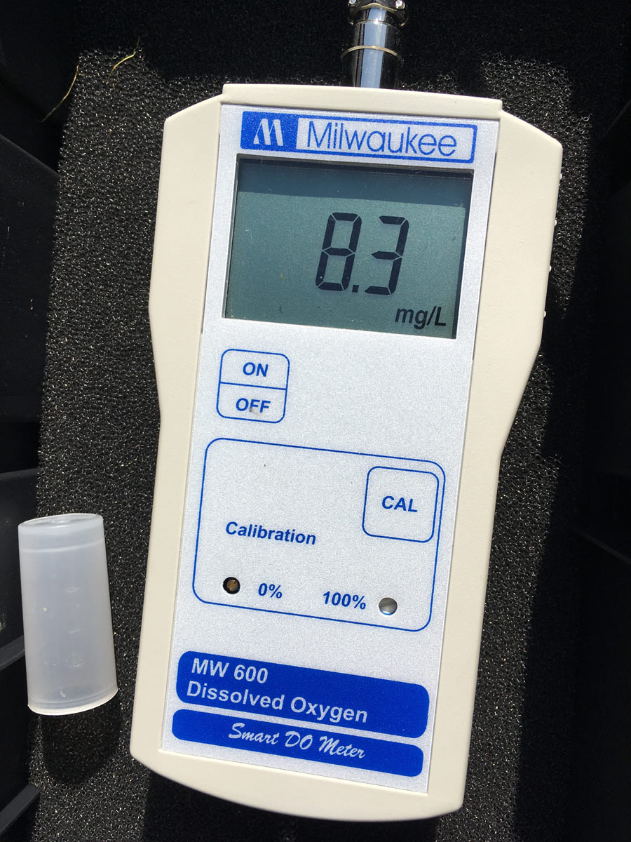 Dissolved Oxygen Testing in Large Pond Surface