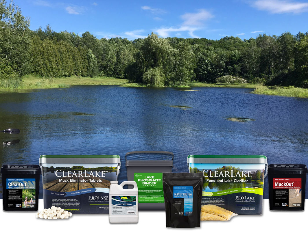 Lake and Large Pond Treatments