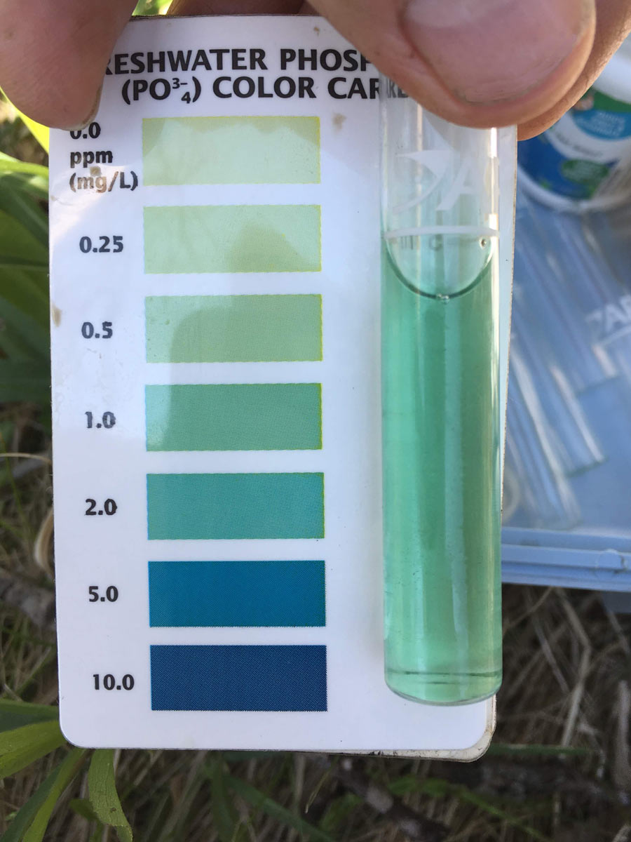 Large Pond Water Quality Testing