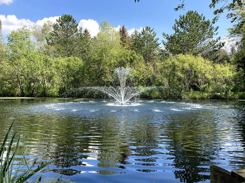 floating fountain display at Hydrosphere The Pond Experts