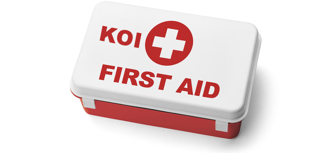 koi pond first aid kit