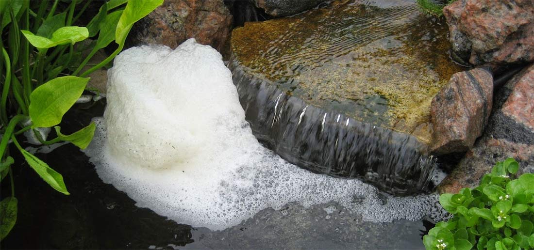 koi spawning foam