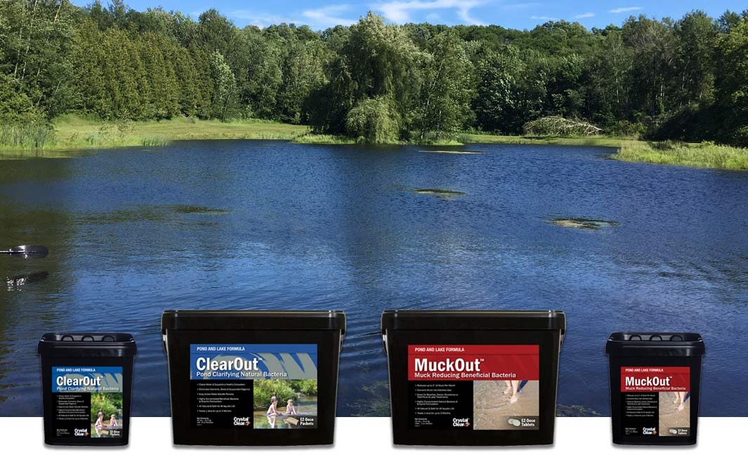 large pond lake beneficial bacteria