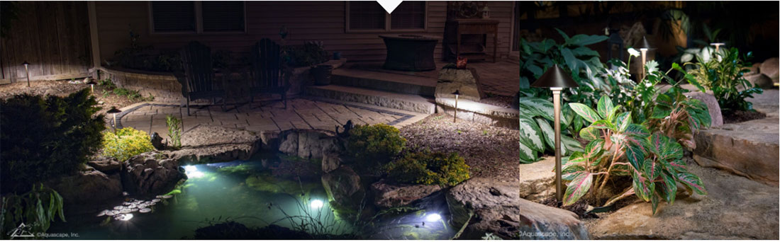 led pond landscape light installation