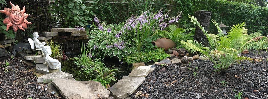 pond design tips advice