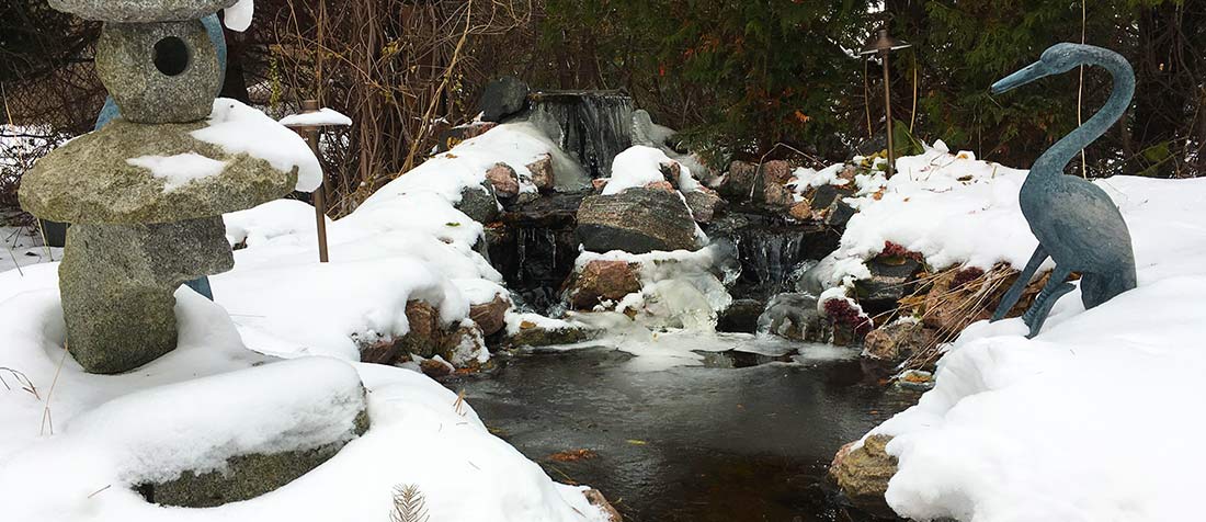 how to winterize your pond