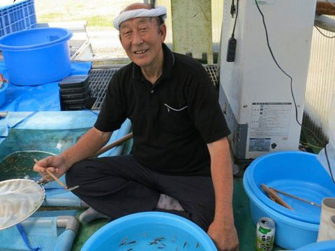 Aoki Koi farm