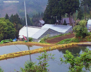 Shionda Koi Farm