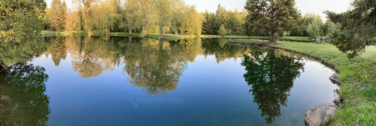 lake and large pond treatments