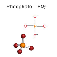 phosphate-structure