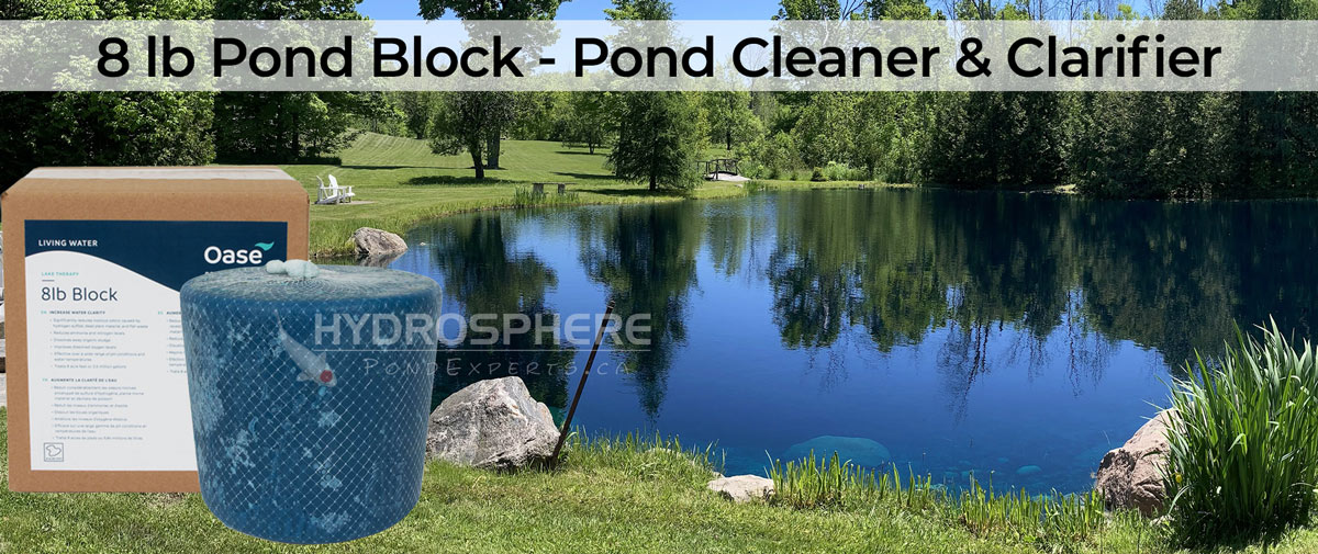 8 lb block pond cleaner pond block